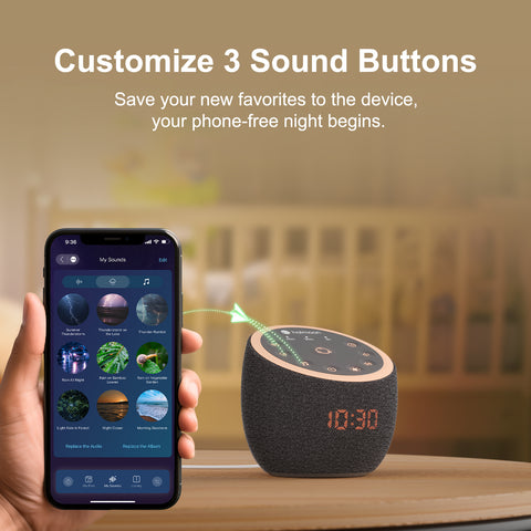 Cocoon Pro 2